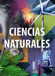 Ciencias Naturales 6° básico B